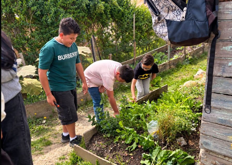 Bambini lavorano nell'orto comunitario